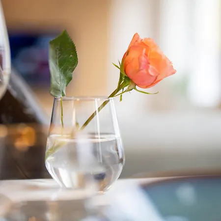 Schlosskoenig - Modernes & Zentrales Mit Balkon Und Arbeitsplatz